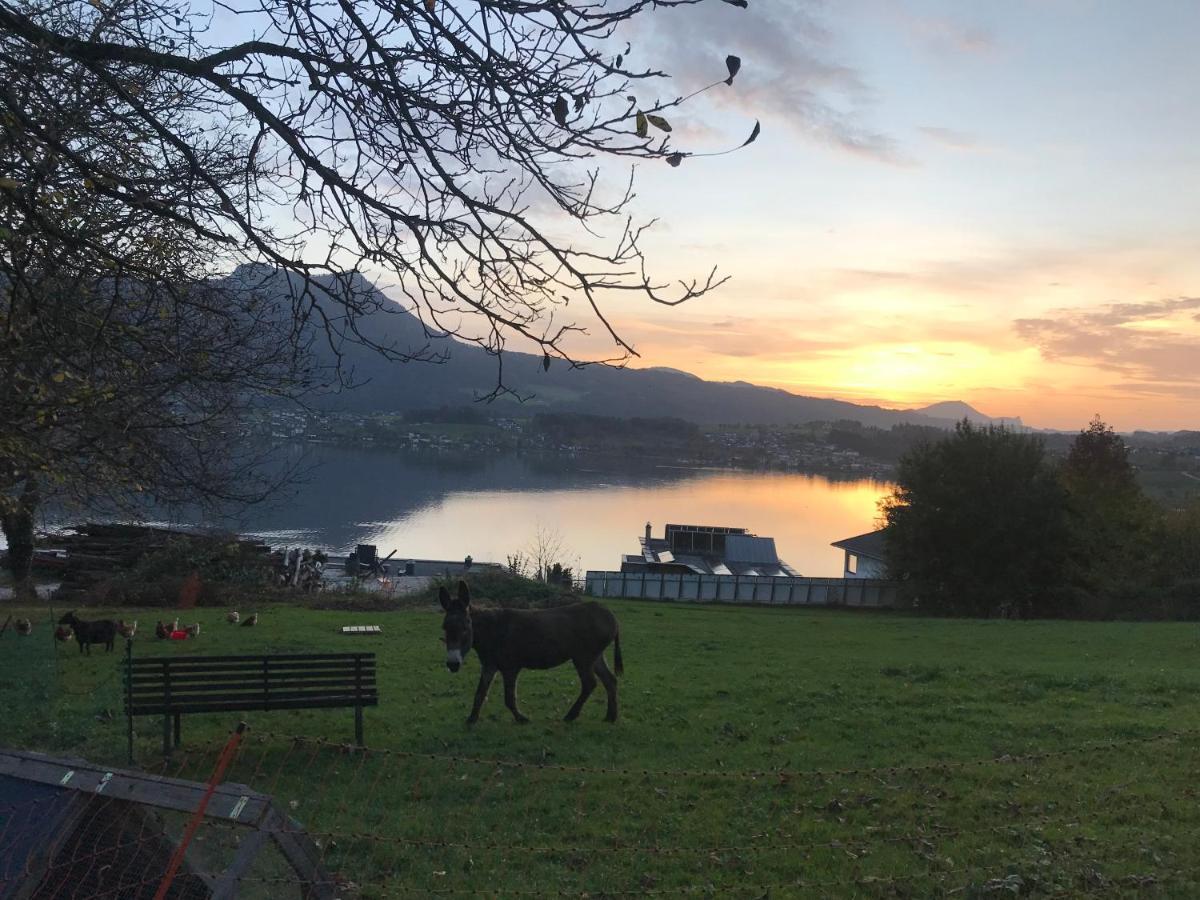 Ferienwohnung Lechnerhof Tiefgraben Bagian luar foto